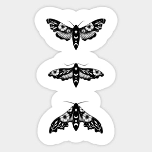 Lime Hawk Moths Night - Black Sticker